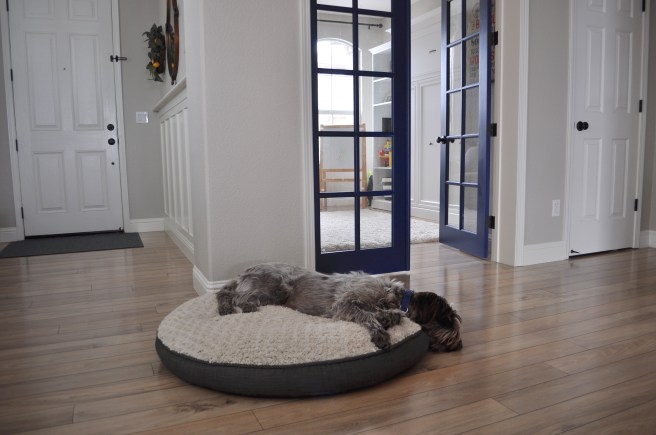 RecoveringCorporate_After8